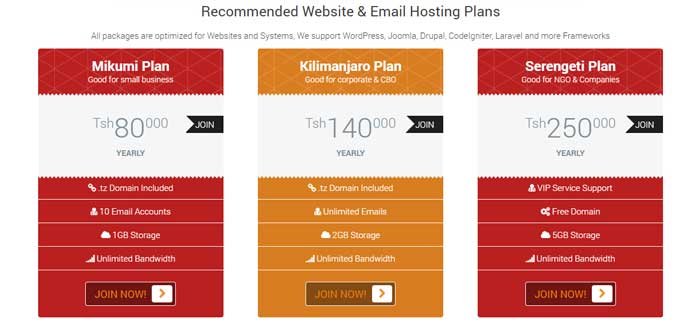Cheap Website Design and Hosting Tanzania